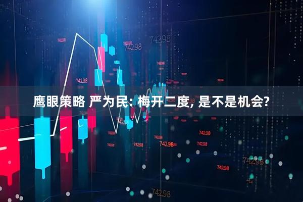 鹰眼策略 严为民: 梅开二度, 是不是机会?