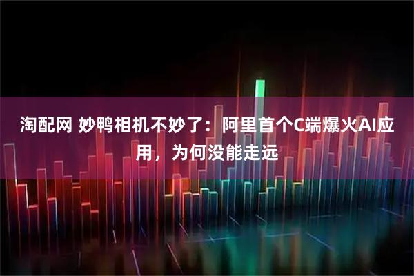 淘配网 妙鸭相机不妙了：阿里首个C端爆火AI应用，为何没能走远